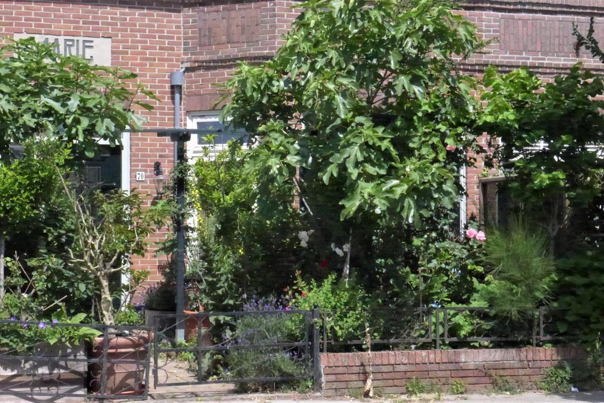Family Home Marie زاندفورت المظهر الخارجي الصورة